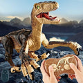 Realistic Remote Control Dinosaur (Buy 2 Free Shipping)